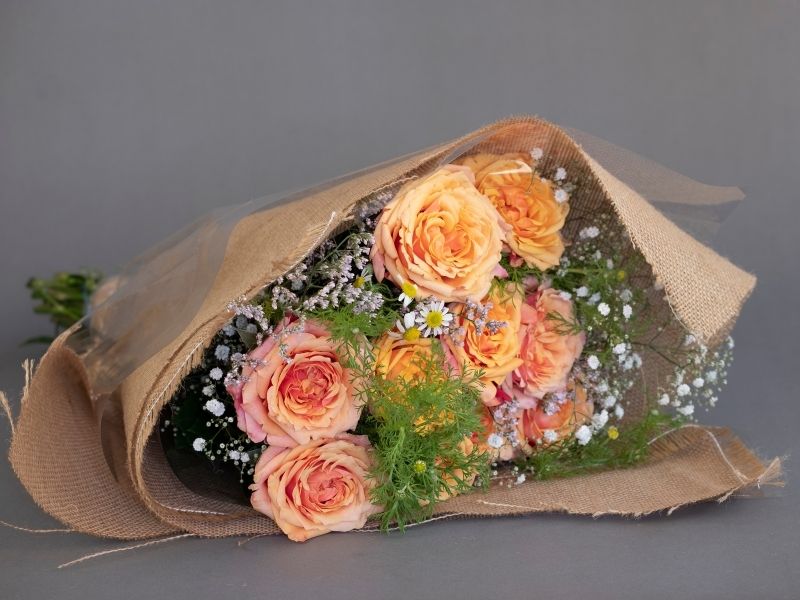 Cherry Brandy Roses