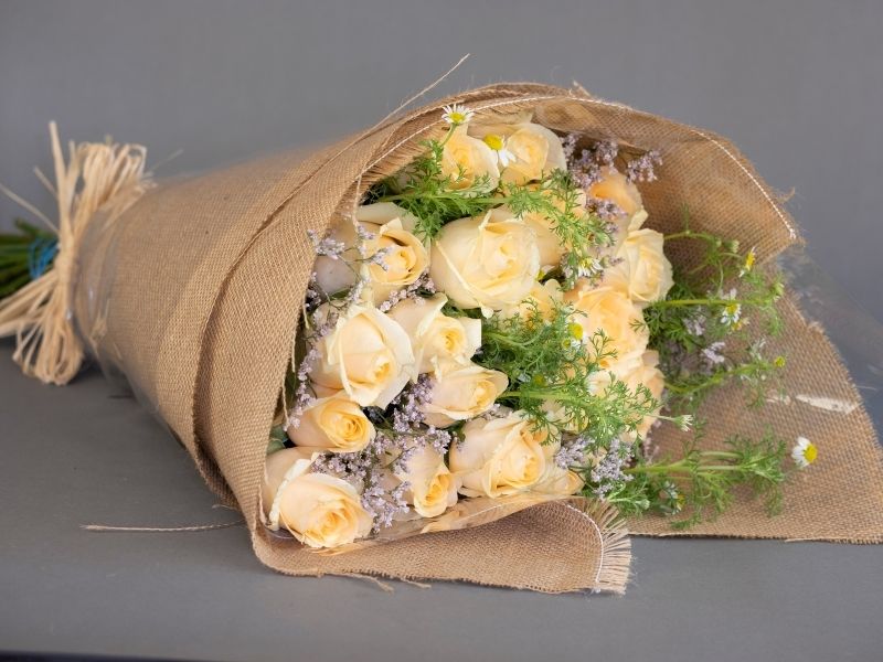 Cream Roses