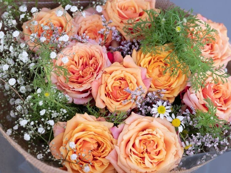Cherry Brandy Roses - Image 3
